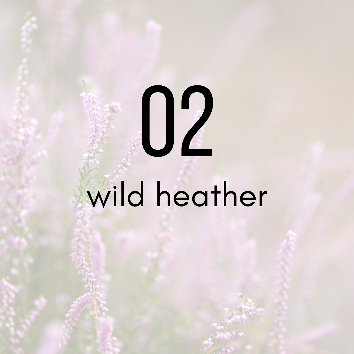 Carl Mullaney London - The Signature Collection - 02 Wild Heather Candle